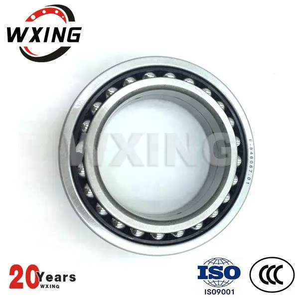 Automobil Getriebelager F846067 Chromstahl GCR-15