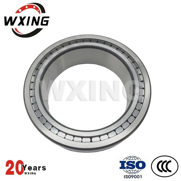 SL024864 Zylindrische Roller Truck Radnabenlager