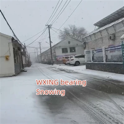 WXING Lager Guter Service
