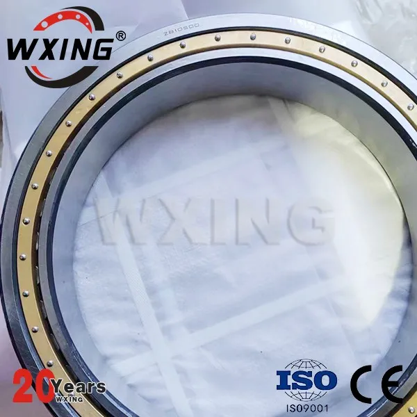 ZB10500 Schlammpumpenlager Zylinderrollenlager
