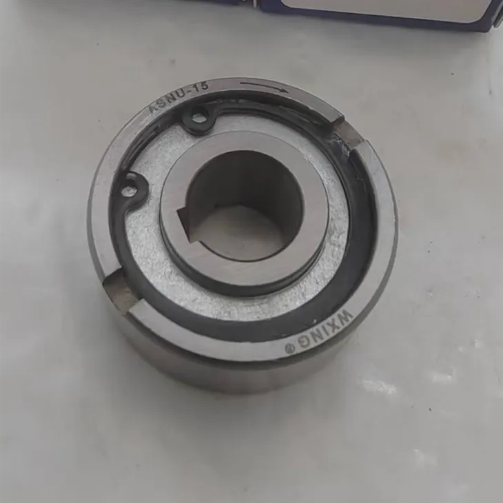 ASNU 15 Einwegkupplungslager für Autolager