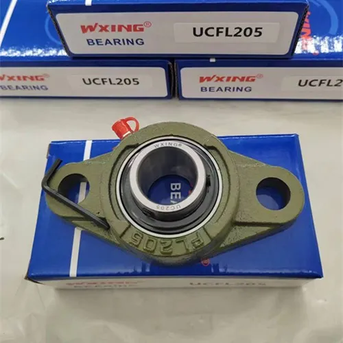 Hochwertiges Stehlager aus Gusseisen mit zwei Schrauben aus chinesischer Fabrik UCFL204 UCFL205 UCFL206 UCFL207